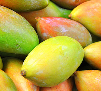 Totapuri Mango